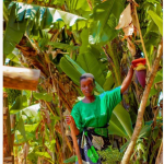 WHEN FAITH IGNITES CREATION CARE. The Story of Doniyana Kabeza, From Charcoalto Cultivating Life