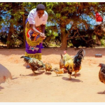 WHEN HOPE FINDS A HOME.The Life Transformation Journey of Patuma Jere